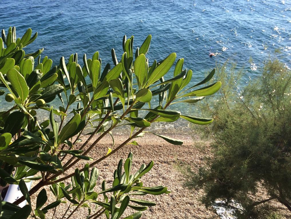 Holiday Home Mala Duba Živogošće 客房 照片